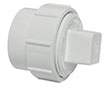 1 1/2 in. Size Fitting Cleanout Adapter with Plug (SPG x FPT)